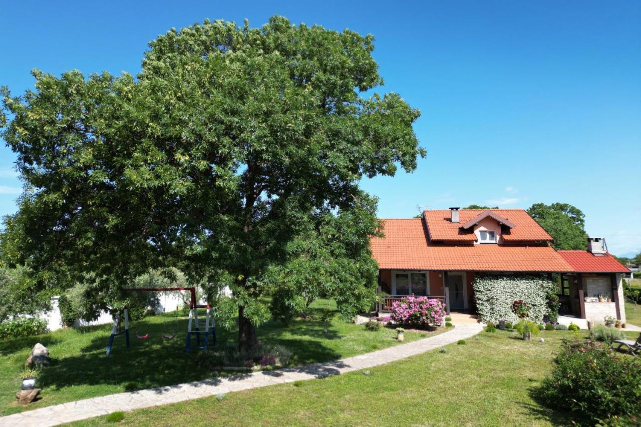 Villa Tinov Dvor Brisevo Екстериор снимка